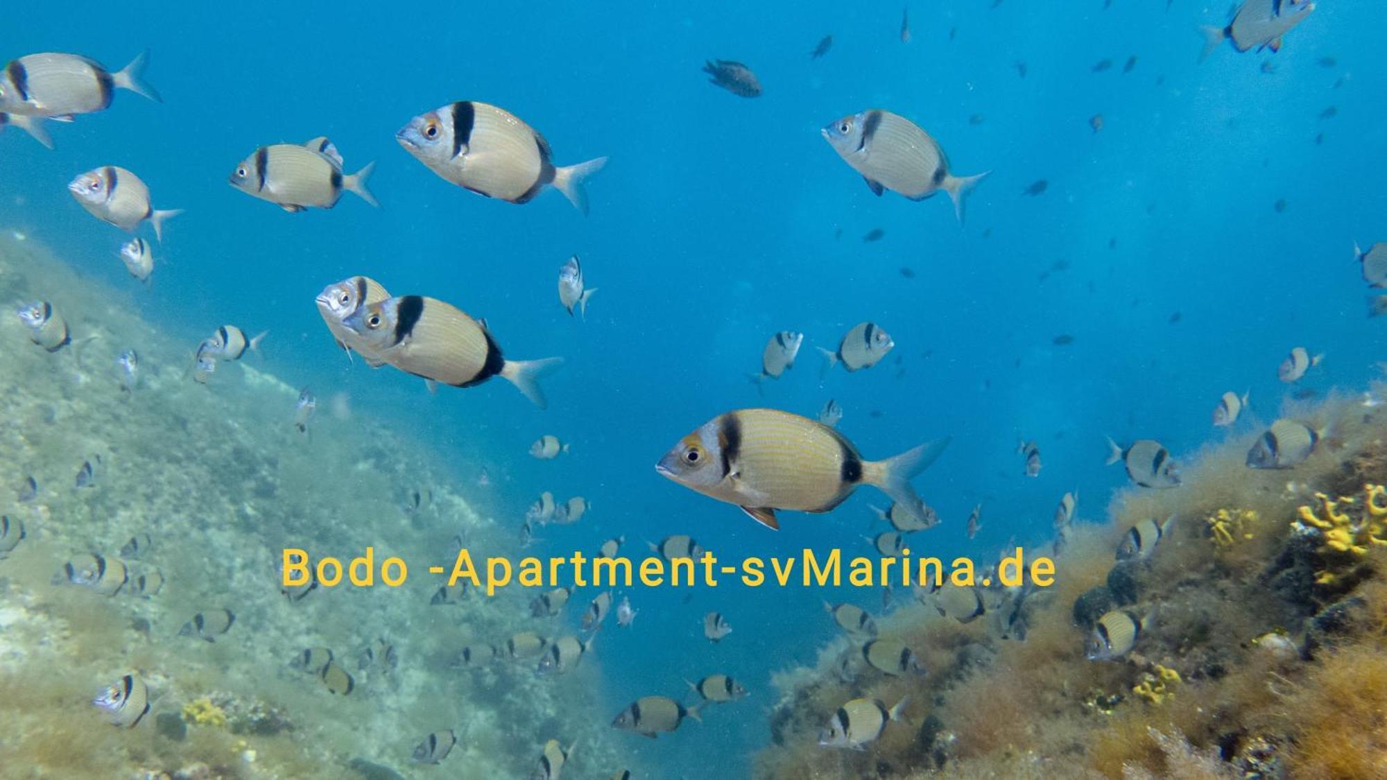 Bodo Apartment Labin  Kültér fotó